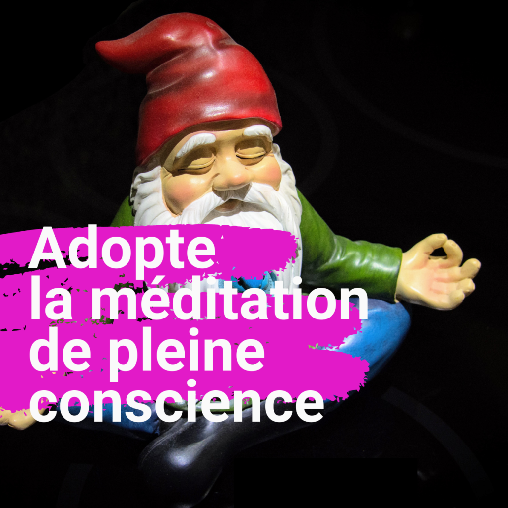 méditation de pleine conscience